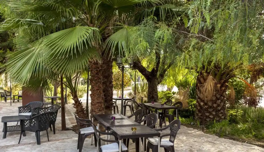 Mediterranean garden terrace